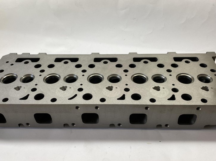 Zylinderkopf für F2503 ohne Ventile und Federn