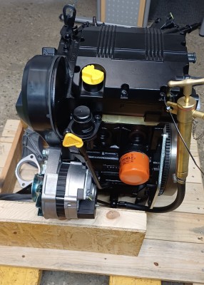 Dieselmotor Lombardini LDW 702 NEU LDW702GE