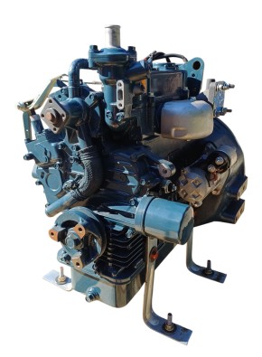 Kubota Gasmotor DG972 NEU -  Lagerware - Sofort verfügbar Kubota Gasmotor DG972 NEU -  Lagerware - Sofort verfügbar
