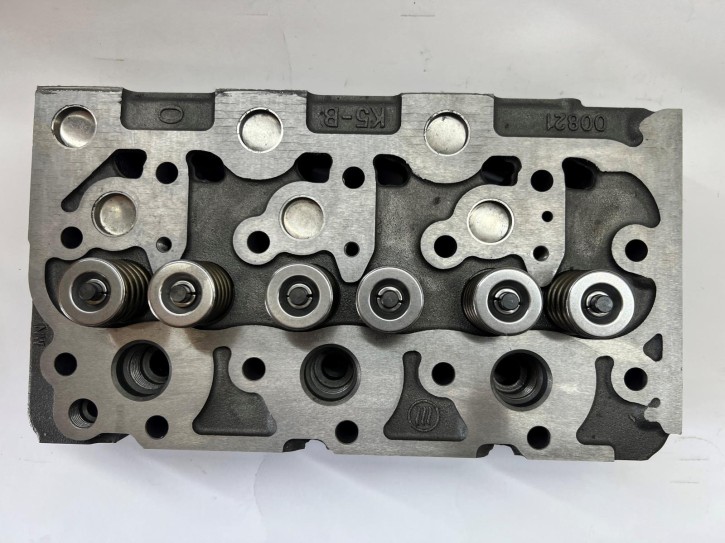 Zylinderkopf für D1102 | D1102A | D1102AE | D1301 | D1101 | D1100 inkl. Ventile und Federn
