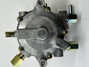 LPG Vaporizer von Nikki 668078-851 - 668078-853 Gasmotor Verdampfer Regulator